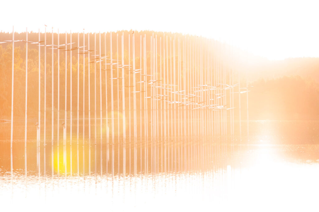 Veistoksellinen Lentoon-taideteos ilta-auringossa.